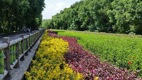 湳仔溝旁環河公園綠化
