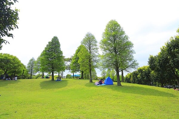 坐落桃園大溪的「埔頂公園」16000坪寬廣佔地,素有北台最美公園稱號。圖/21世紀不動產提供