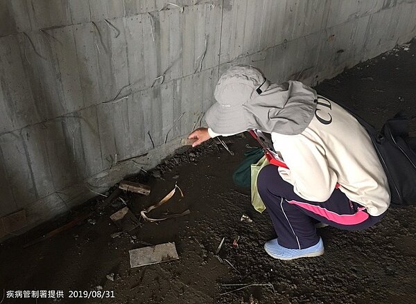 疾管署防疫人員,於台南市北區執行孳生源查核。圖/疾管署提供