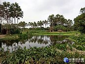 中秋賞月好去處　屏東麟洛濕地水色風光