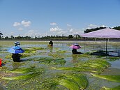 美濃、那瑪夏　爭取入國家風景區