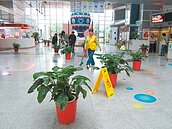 傻眼！天文館漏水用盆栽接