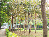 農地復耕雙利多　錢途看好