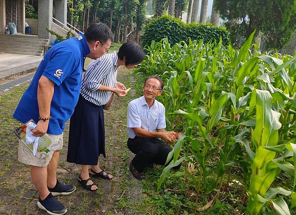 南投縣國姓鄉北山國中將環保酵素混合落葉、廚餘製成有機堆肥拿來種蔬果,改善校園環境更因此加菜。圖/議員陳宜君提供