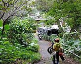 新北再增2例本土屈公病　防治範圍擴大中和25里