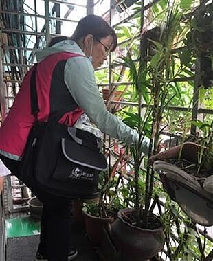 衛生福利部疾病管制署昨天公布北市首起本土屈公病例,將針對個案住所周邊進行噴藥、清除孳生源。圖/北市衛生局提供