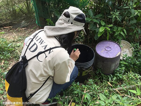 疾管署防疫人員持續加強新北市中和區孳生源查核。圖／疾管署提供