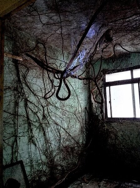 位在新店的老舊公寓,場景就像電影《倩女幽魂》的蘭若寺,也因此獲得攝影展第一名。圖/新北市城鄉局提供