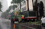 蘇拉風強雨驟　中市路樹傾倒　淹水災情最多