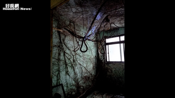 「這什麼鬼地方」危老攝影展票選第一名作品，「樹噬老屋猶如倩女幽魂蘭若寺」。照片新北市城鄉局提供