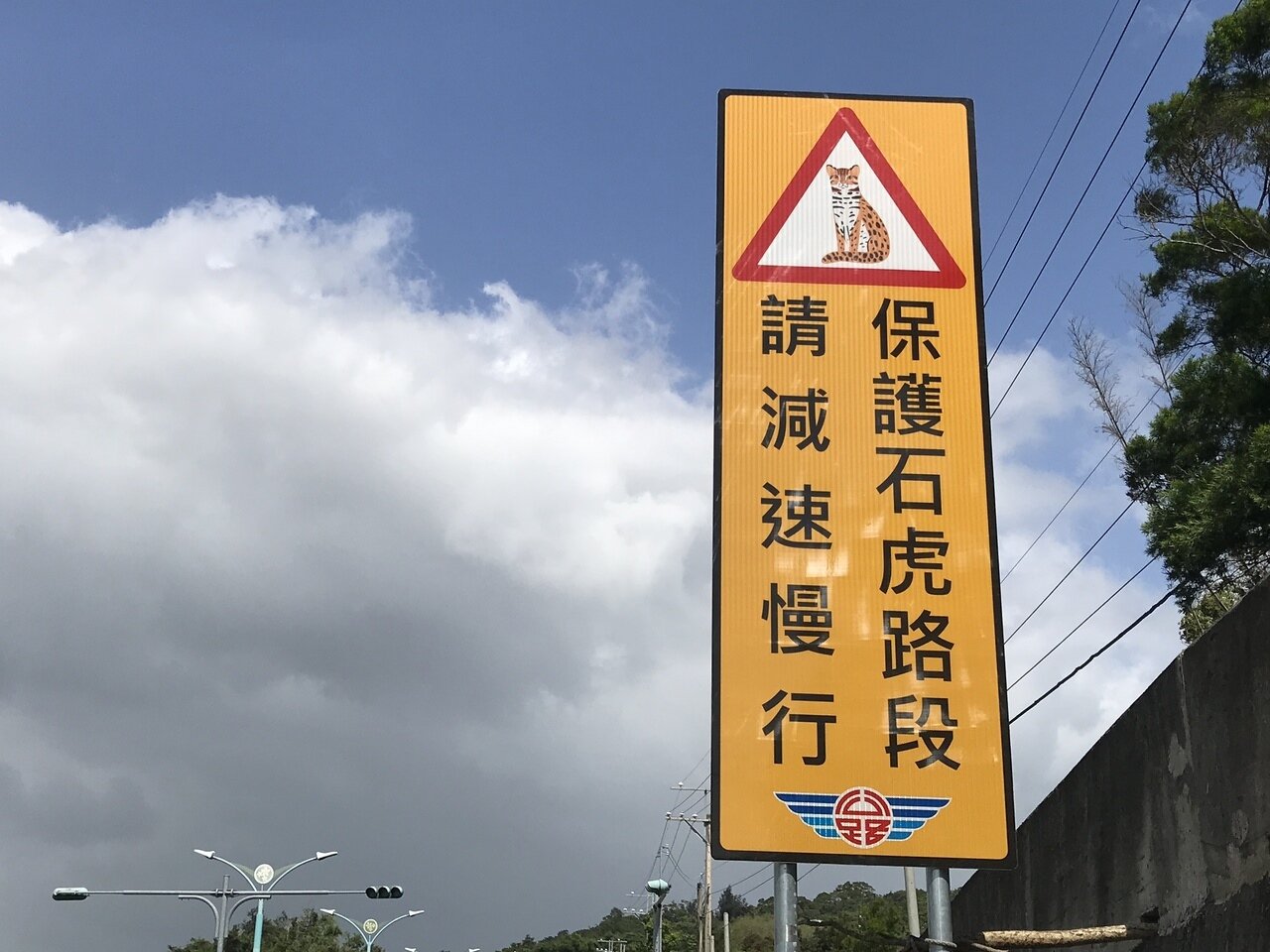 台13甲10公里附近路殺頻傳,公路總局養護工程處苗栗工務段在附近設置警示牌「保護石虎路段請減速慢行」,警示牌上的石虎圖,就是俄羅斯畫家卡佳為台灣繪製的石虎。記者劉星君/攝影