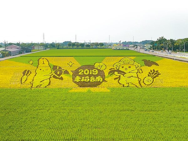 台南市六甲區林鳳營陸橋旁《ㄇㄚˊ幾兔》稻田彩繪已漸漸成形。圖/記者劉秀芬攝