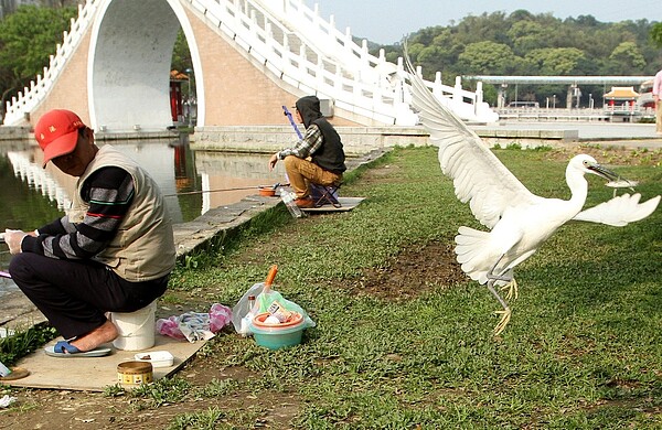 碧湖、南港、大湖公園下月起將限縮垂釣區域，如果在指定區域外釣魚將會受罰，圖為大湖公園。 圖／聯合報系資料照片