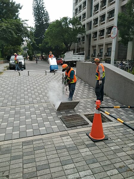 成大爆發今年第1起校園群聚感染登革熱，上午進行校園噴藥。圖/衛生局提供