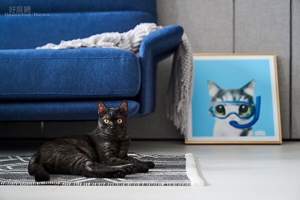 冰蹦拉　24坪網美宅＋工作室