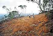 山坡剃光頭　台東蘇巴陽部落憂心土石流