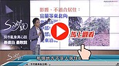 好房網TV／買房別賭命？　這三區最好避住！！