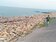 突堤效應 　台南黃金海岸沙灘剩20公尺寬