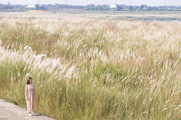 大內橋下曾文溪畔。圖／台南旅遊網提供