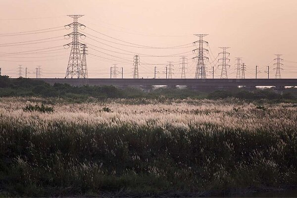 84號快速道路官田西庄河堤內。圖／台南旅遊網提供