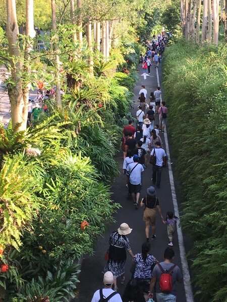 國慶連假第一天，太陽很大，逛動物園的人躲在陰影處休息。 圖／台北市立動物園提供