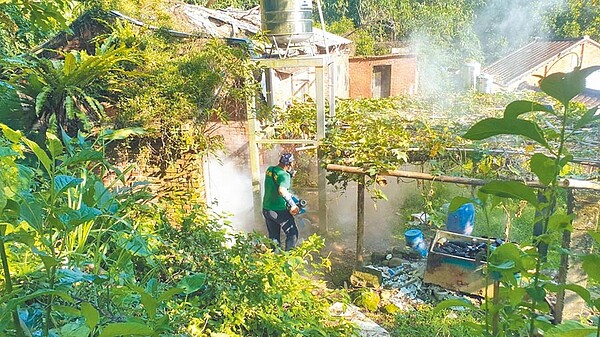 樹林再添1本土登革熱確診，都與坡內里菜園有關，市府已完成噴消與孳清。（新北市衛生局提供／葉德正新北傳真）