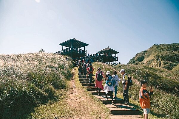 新北到宜蘭間的草嶺古道「芒花季」將登場,帶大家感受古道的風情。 圖/東北角風管處提供