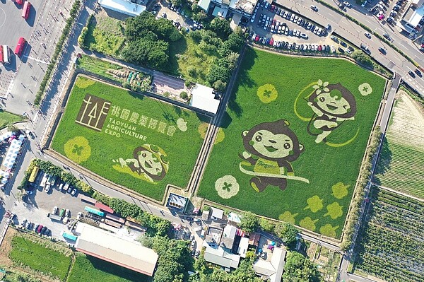 桃園農業博覽會如火如荼開展,農博一大亮點變是彩繪稻田區,今年配合全運會賽事,將桃園吉祥物丫桃、園哥請來作為彩繪稻田主角,丫桃、園哥開心在稻田上跑步、游泳或是做體操樣樣來,吸引民眾搶拍,空拍畫面更是萌樣爆表。圖/觀音區農會提供