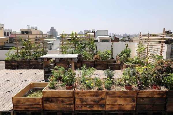 新竹市鼓勵社區閒置大樓屋頂或陽台種植花草植物，創造綠屋頂降低室內溫度，以達到節電節能的功效。圖／新竹市環保局提供