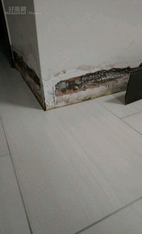 興隆D2社宅角落因為漏水嚴重發霉。照片台北市議員王欣儀提供