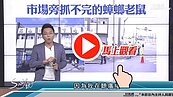 好房網TV／樓下就是市場　Sway：保證這些多？？