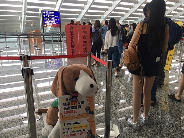 防堵非洲豬瘟入侵台灣,各機場持續採取檢疫措施。本報資料照片