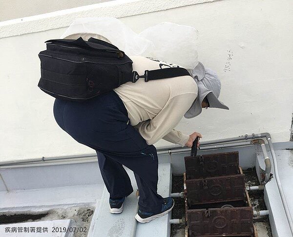 台南爆發登革熱群聚感染。(疾管署提供)