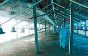 禽流感H7N9擴散　上海關閉活禽市場