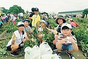 從農田到餐桌　虎尾推挽土豆料理體驗