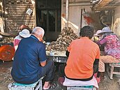 連續暴雨　彰化蚵仔、文蛤減產價漲