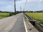 路殺事件再添一起！苗栗石虎剛飽餐後卻慘死