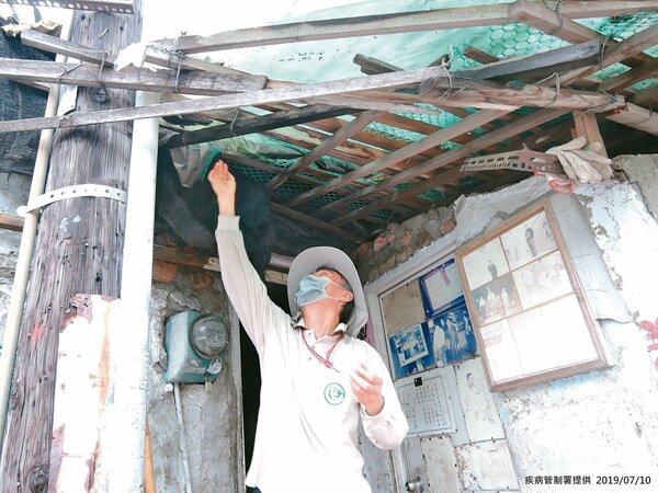 疾管署防疫人員持續於台南市中西區開山里，加強登革熱孳生源查核。 圖／疾管署提供
