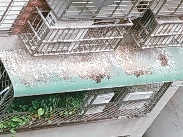 台北市長柯文哲與信義區里長座談，廣居里長抱怨海華社區鴿子問題嚴重，住家窗台、冷氣上滿是鴿糞。 圖／廣居里長楊玉堂提供