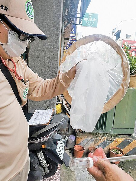 防疫人員查獲重大孳生源。（曹婷婷攝）