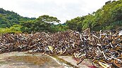 7000輛oBike成廢鐵　月底秤斤賣