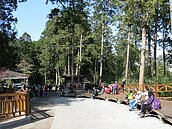 「觀光臨時稅」史無前例　財部：將審查適法性