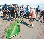 中斷近90年　噶瑪蘭族海祭再次傳續