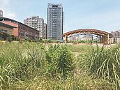 新竹特教地荒廢　爭設特教資源中心