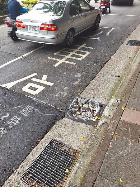 有民眾向議員投訴,總統府周邊道路有如越野跑道顛簸、坑坑疤疤,發現後經過2周都沒人處理。(張立勳翻攝)