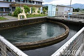 雲林不必再抽地下水　兩淨水廠每日供30萬噸民生用水