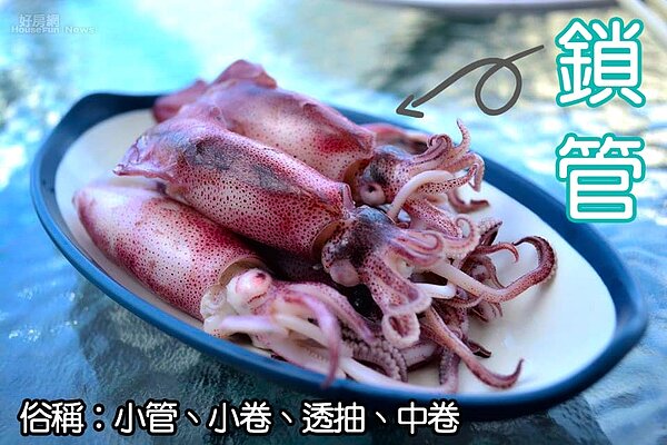 鎖管?小管?烏賊?(圖 / 基隆鎖管季粉絲頁)