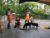 動物之家改建經費翻倍！　3億變6億動保處月底說明