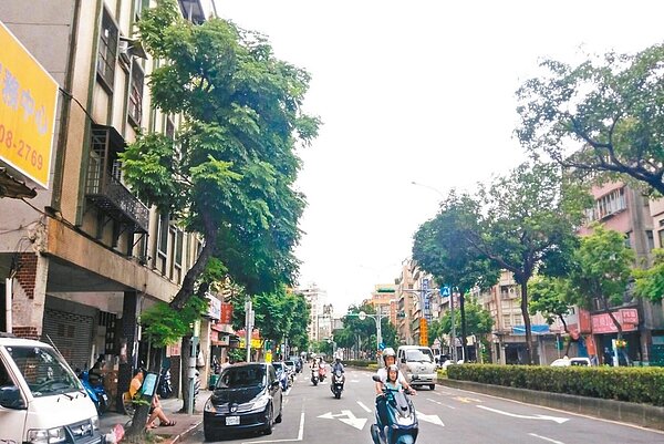 北市萬華區和平里長吳淑芬抱怨,西藏路人行道種了20多棵台灣欒樹,因欒樹靠近民宅,荔枝椿象常沿著欒樹爬進民宅中,居民苦不堪言。 圖/北市民政局提供