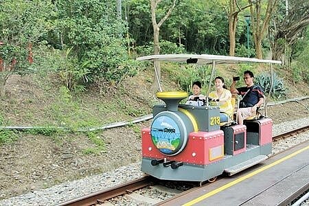 鐵道自行車營運以來風靡全台,今年暑假加開班次,讓遊客欣賞沿線明媚風光。(何冠嫻攝)